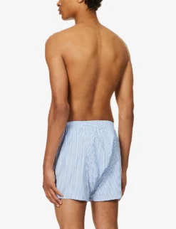 James Striped-pattern Classic-fit Cotton Boxer Briefs -Falkeis Store R03805080 BLUE ALT02