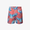 Maui Graphic-print Swim Shorts