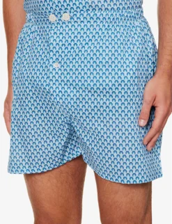 Ledbury Graphic-print Cotton-poplin Pyjama Set -Falkeis Store R04170097 BLUE ALT05