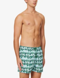 Bjorn Borg Print Graphic-pattern Elasticated Waistband Regular-fit Swim Shorts 7 Bjorn Borg Print Graphic-pattern Elasticated Waistband Regular-fit Swim Shorts -Falkeis Store R04172924 SKYBLUEGREEN ALT02